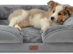 Bedsure Orthopedic Dog Bed Review Comfort for Your Furry Friend